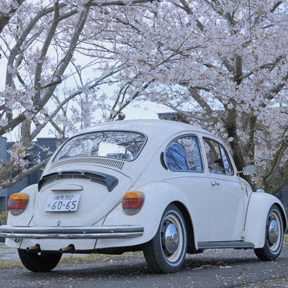 Volkswagen Beetle Classic – Sakura Edition | Japan Export
