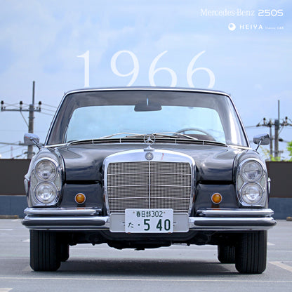 【SOLD】Mercedes-Benz 250S Classic | Japan Export