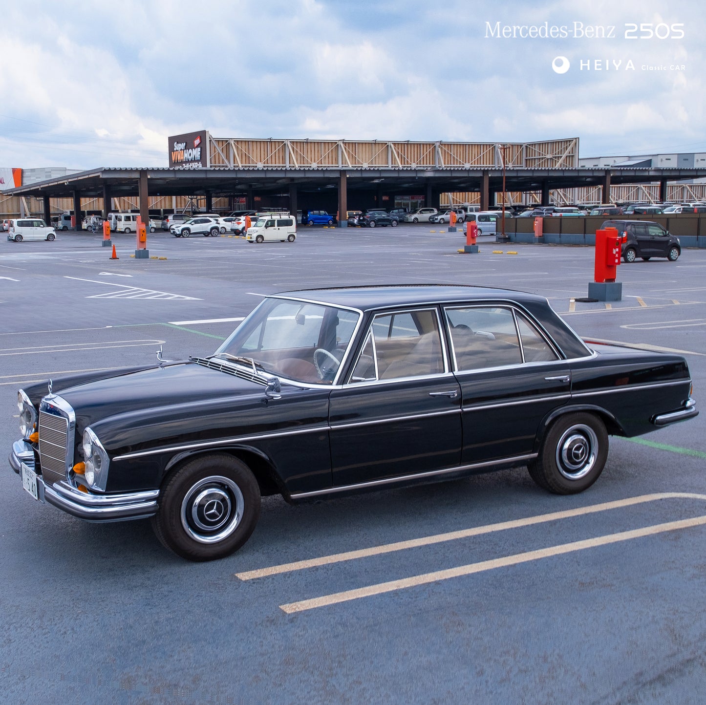 【SOLD】Mercedes-Benz 250S Classic | Japan Export