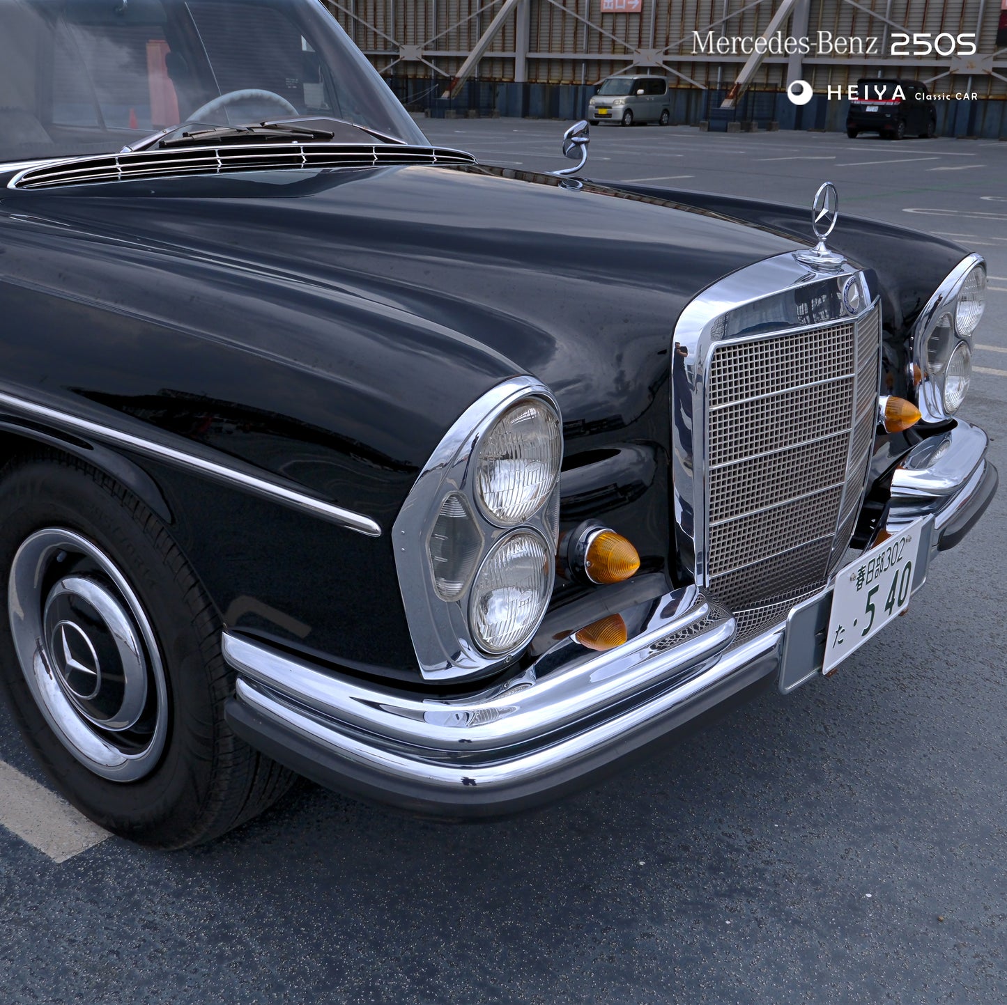 【SOLD】Mercedes-Benz 250S Classic | Japan Export