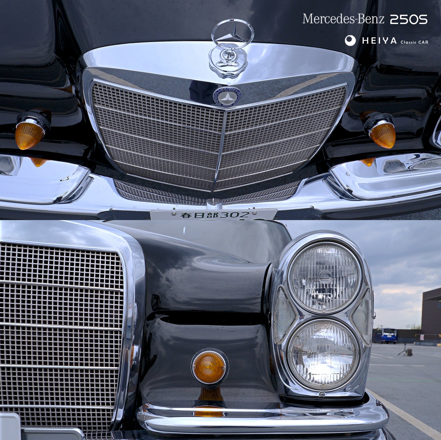 【SOLD】Mercedes-Benz 250S Classic | Japan Export
