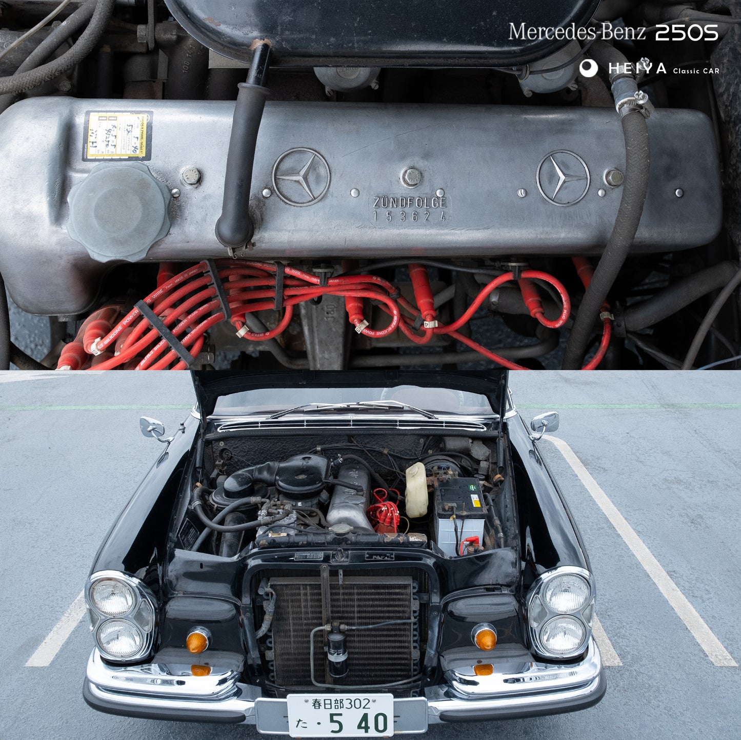【SOLD】Mercedes-Benz 250S Classic | Japan Export